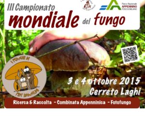 Scopri di più sull'articolo Il campionato mondiale del fungo, organizzato dal parco nazionale e dalla cooperativa i Briganti di Cerreto