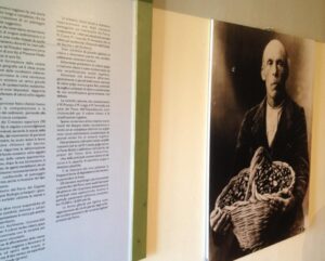 Scopri di più sull'articolo Appennino Gastronomico – Menu a Km Zero. Alla rassegna, che si svolgerà fino al 20 dicembre, partecipano 3 nostre coop