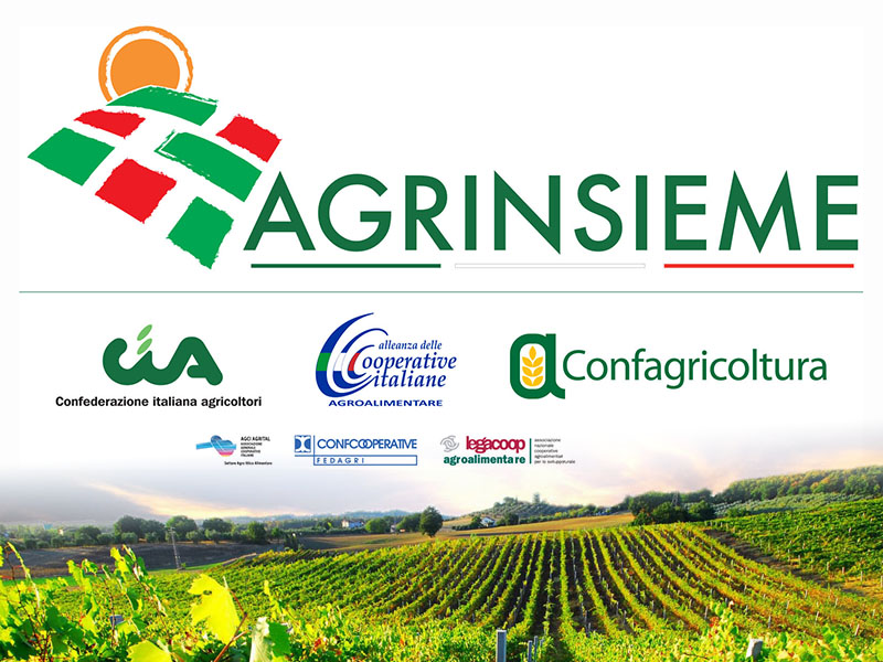 Al momento stai visualizzando Più qualità delle acque e invasi in Appennino: Agrinsieme indica le priorità della bonifica in vista del voto sul rinnovo del Cda del Consorzio della Bonifica dell’Emilia centrale