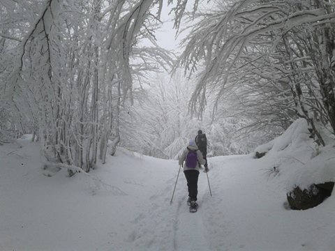 Al momento stai visualizzando Weekend a tutta neve al Rifugio Lagdei, cinque escursioni in due giorni