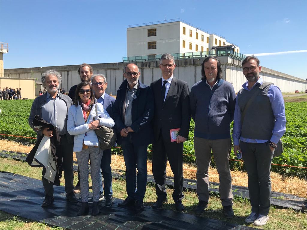 Al momento stai visualizzando Ex Novo, le fragole coltivate nel Carcere di Piacenza, grazie al progetto di L’Orto Botanico con Coop Alleanza 3.0