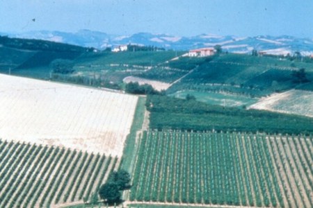 Al momento stai visualizzando Coronavirus, la Regione per le imprese agricole: rinvio scadenze, bandi, carburanti