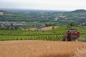 Al momento stai visualizzando Regione, sostegno all’agricoltura: bando da 12,6 milioni per le aziende nelle zone montane e procedure semplificate per i carburanti