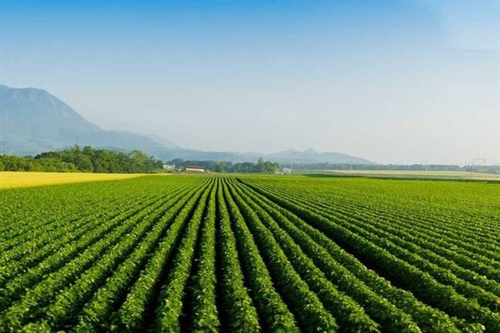 Al momento stai visualizzando Anche noi aderiamo all’iniziativa del Comune di Parma per la ricerca di manodopera in agricoltura