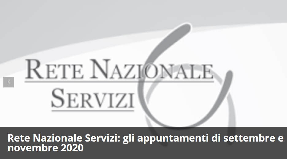 Al momento stai visualizzando Seminari della Rete Nazionale Servizi