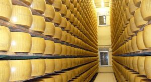 Scopri di più sull'articolo Sezione reggiana del Consorzio del Parmigiano Reggiano: affermazione della lista “Caseifici al Centro”