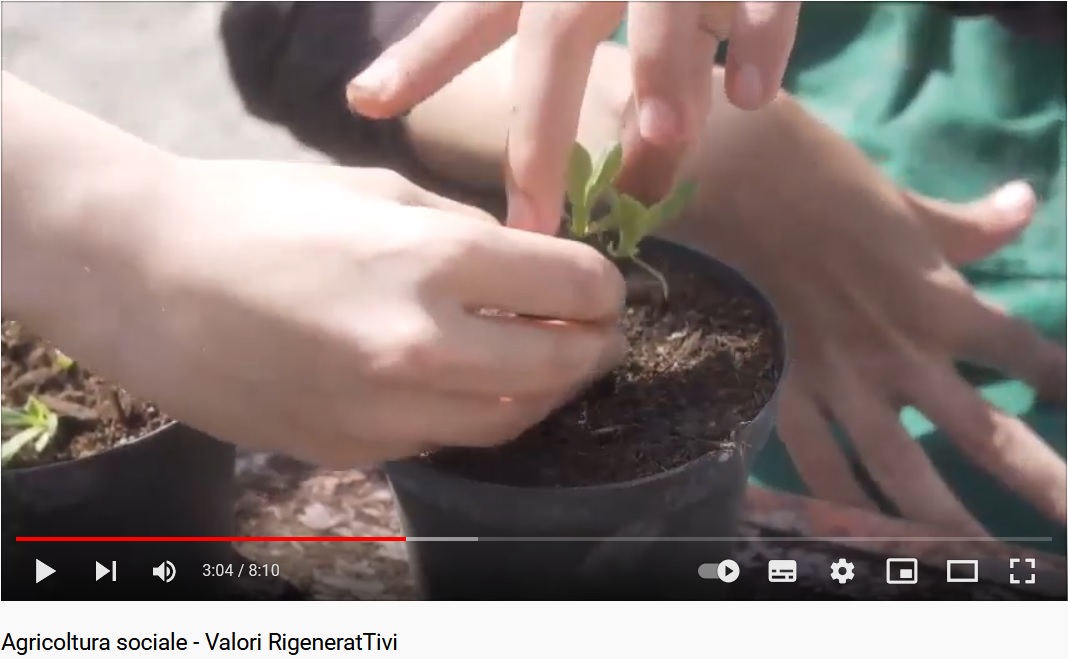 Al momento stai visualizzando “Agricoltura sociale – Valori RigeneratTivi” il video delle coop. Emc2, Il Bettolino e L’Orto Botanico