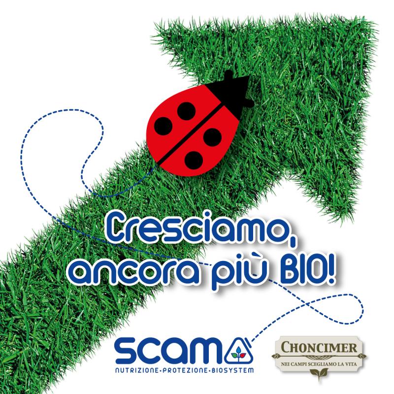 Al momento stai visualizzando Scam Spa acquista Choncimer Srl